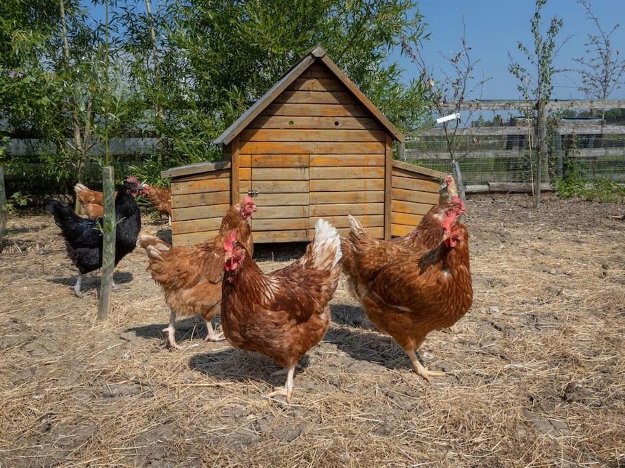 Puck'S Retreat Bed & Breakfast Tredington Esterno foto